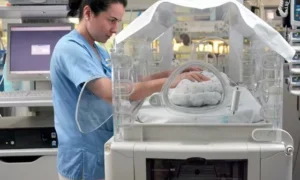 Curso de Avances en Neurodesarrollo Neonatal, Desarrollo en Recién Nacidos de Alto Riesgo Neurológico