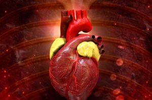 Curso de Intervenciones de Enfermería en Patologías Cardiovasculares en las Distintas Áreas de Atención