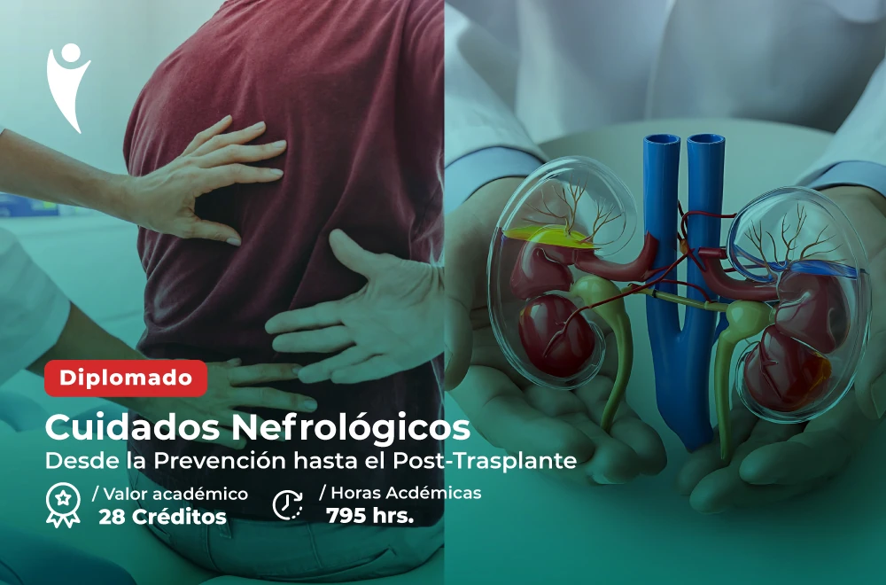 Diplomado: Cuidados Nefrológicos en la Atención Integral del Paciente Renal: Desde la Prevención Hasta el Post-Trasplante